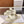 CD Dioract Slide Lambskin and Canvas 242450