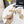 CC 26s Floral Sandal 5cm Beige Sheepskin 867465
