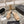 platform sandal 85 beige quilted calfskin