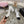 mary janes 60 double buckle white calfskin black grosgrain