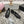 mary janes double buckle black calfskin grosgrain