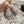 CC 25A Mocassino in pelle scamosciata Sherpa grigia