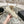 Mocassino CC 25A in pelle scamosciata Sherpa beige chiaro
