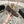 Mocassino CC 25A in pelle scamosciata Sherpa color cioccolato