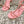 CC 26s Chain T-Strap Charm Sandals 5cm Light Pink Lambskin 736116