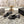 CC 25ss Slingbacks 35mm Black Lambskin & Sheepskin 432606
