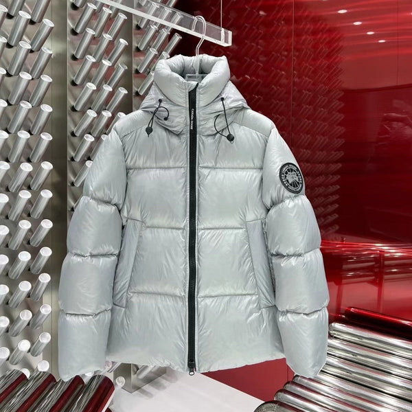 C. Goose Down jacket Grey Silver Polyester 0038