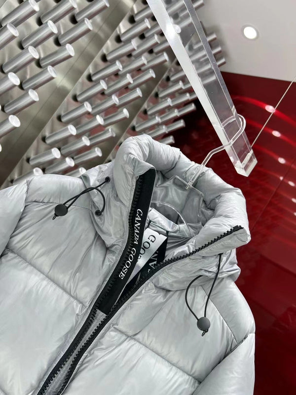 C. Goose Down jacket Grey Silver Polyester 0038