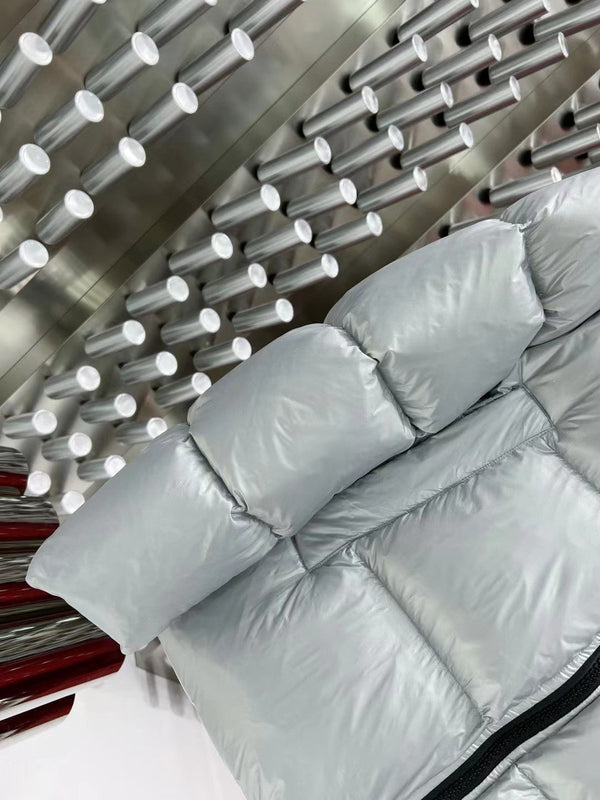 C. Goose Down jacket Grey Silver Polyester 0038