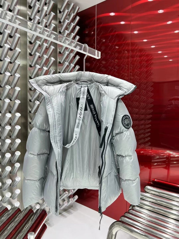 C. Goose Down jacket Grey Silver Polyester 0038
