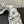LV Archlight Sneaker 50mm White Mix Silver Monogram Cowhide