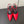 MORRAINE SLINGBACK PUMPS IN CHERRY RED CALFSKIN