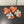 CHYPRE SANDAL ORANGE MIX CREAM CALFSKIN