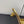 knot mule 55 gold metalic lambskin