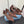 CUT-OUT BALLERINAS IN CHOCOLATE BROWN SATIN