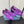 BALLERINA CON TAGLI IN RASO VIOLA CON FIBBIA DI PERLINE ATTACCATA