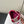 Loewe Ballet Runner 2.0 Sneaker Pink Nylon Sheepskin 210625