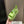 UGG GoldenGlow Sandals Lime Green Rubber 787989
