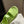 UGG GoldenGlow Sandals Lime Green Rubber 787989