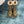 GG Horsebit Snow Boots Dark Beige Woolen Fabric Fleece 576252