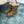 GG Horsebit Snow Boots Dark Beige Woolen Fabric Fleece 576252