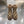 GG Horsebit Snow Beige Black Suede Fleece 576257