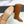 HM 25ss Kelly Buckle Riding Boots Camel Brown Cowhide 576123