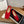Celine 25 Ballerine Rouge Mélange Laine Tricotée 541481