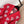 Miumiu 2025 Heart Cardigan Red mix White Wool