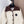 Chanel 2025 Cardigan Laine mélangée Blanche et Marron