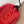 Chanel 2025 Cardigan Cachemire Rouge 00289