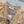 Mini-robe en coton fleuri couleur camel à lacets Zimmermann Rebellion 335960
