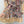 Robe courte à lacets en coton rose clair Zimmermann Rebellion 335958