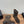Chanel 25 Boot Brown Suede 465612