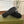 GG Men's Loafer Black Cowhide 547771
