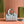 BORSA A MANO OPHIDIA 21 IN TELA MONOGRAMMA GRIGIO-VERDE E FINITURE IN PELLE DI VITELLO, FERRAMENTA ORO