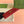 MARMONT QUILTED CARD HOLDER 10 IN RED CALFSKIN