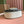 Gucci Horsebit Bag Ebony Mix White Leather 239813