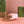 Gucci Ophidia 20cm Bag Pink Canvas 239922