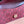 Gucci Dionysus Bag Rosso Ancora Red Suede Leather 244473