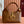 Gucci Solfbit 27.5 Bag Brown Calfskin 244325