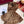 GG Classic 180CM Brown Wool 287939