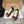 LOEW 26s Ballet Runner 2.0 Burgundy Yellow Suede Sheepskin 683932