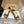LOEW 26s Ballet Runner 2.0 Brown Orange Suede Sheepskin 683934
