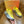 CD B44 Blade Sneaker Yellow Silver Mesh 747735