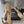 roman sandals wedge gold metalic lambskin