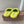 Miu Slippers Lemon Yellow Wool