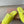 Miu Slippers Lemon Yellow Wool
