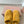 Miu Slippers Dark Yellow Wool