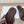 PETAL BELT FLAT SANDAL IN RUSSET BROWN CALFSKIN